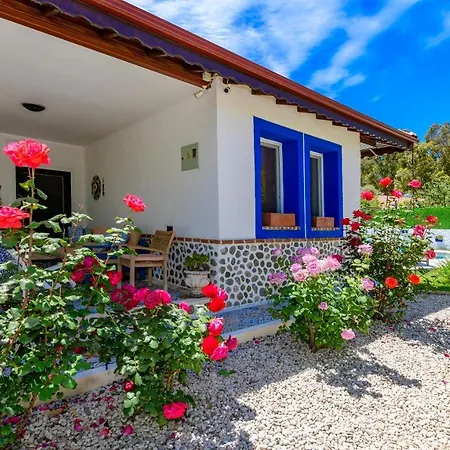 Villa Kayaköy'de özel Havuzlu 6 Kişilik Lavender